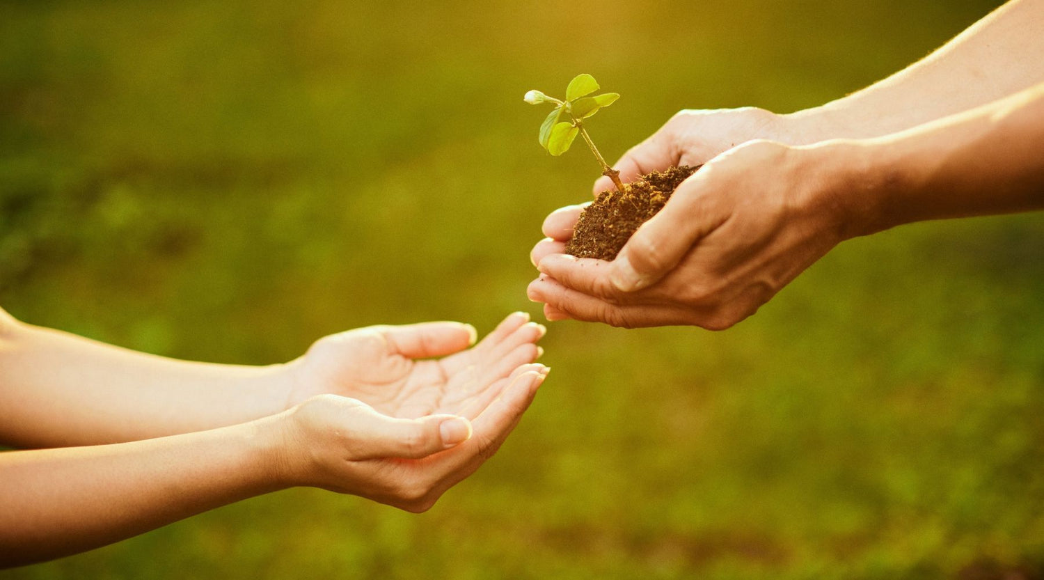 Förderung & Anmeldung für Balkonkraftwerke in Rheinland-Pfalz 2025